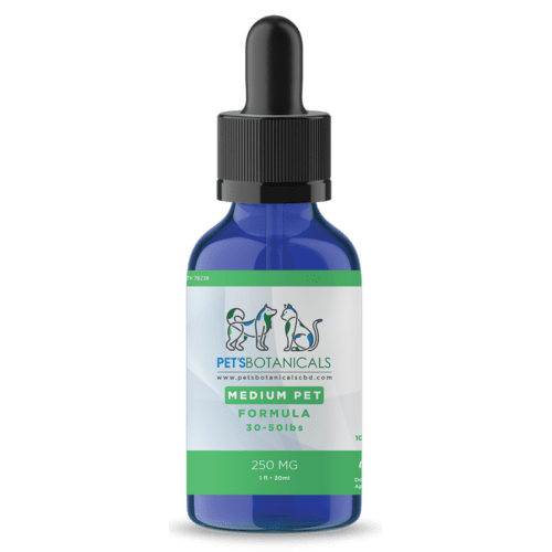 250mg CBD Tincture for medium-sized pets (30-50 lbs), promoting relaxation and joint health.