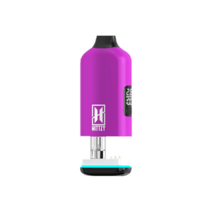 HITTZY HIDDEN HIT - PURPLE